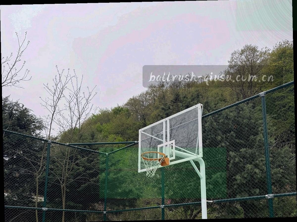 电光青线条连接的赛事类别节点图，表现平台合作网络与区域覆盖